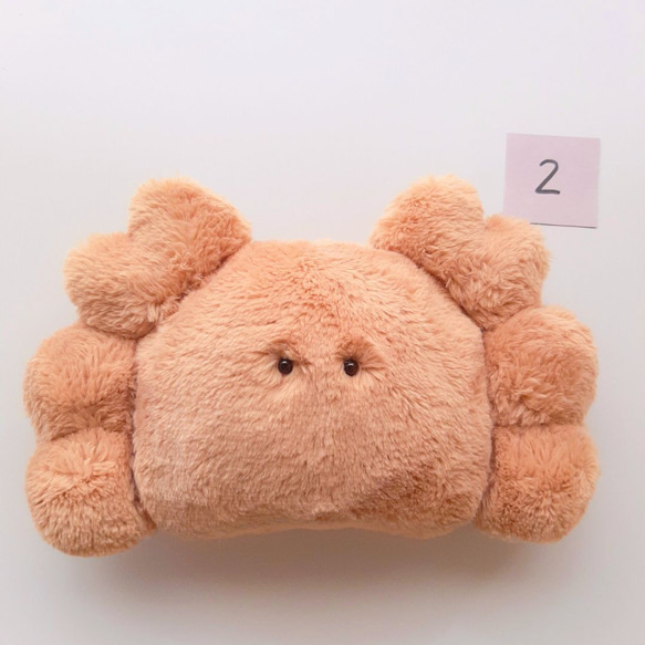 【kanaぶん。様】 カルガモさんの着ぐるみコスチューム ぬい服 2着 kanaぶん。様】 カルガモさんの着ぐるみコスチューム ぬい服 2着 ぷち