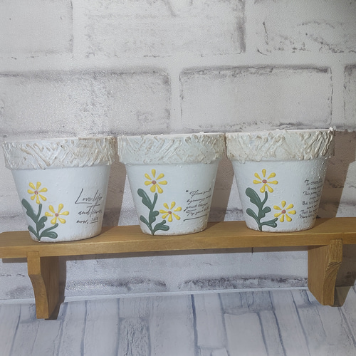 リメイク鉢 リメ鉢 2.5号鉢3点セット A-26 多肉植物 Felice piu + 通販  