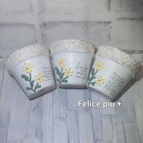 リメイク鉢 リメ鉢 2.5号鉢3点セット A-26 多肉植物 Felice piu + 通販  