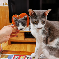 羊毛フェルト☆ッグチャーム（ハート）☆オーダーメード☆犬☆猫☆ペット☆オーダー☆うちのこ 4枚目の画像