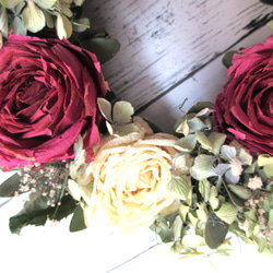 薔薇と紫陽花 2枚目の画像