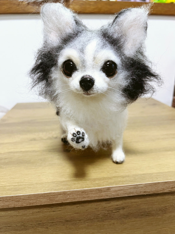 愛犬ちゃんそっくり人形:お星さまになったミシェル 2枚目の画像