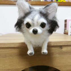 愛犬ちゃんそっくり人形:お星さまになったミシェル 5枚目の画像