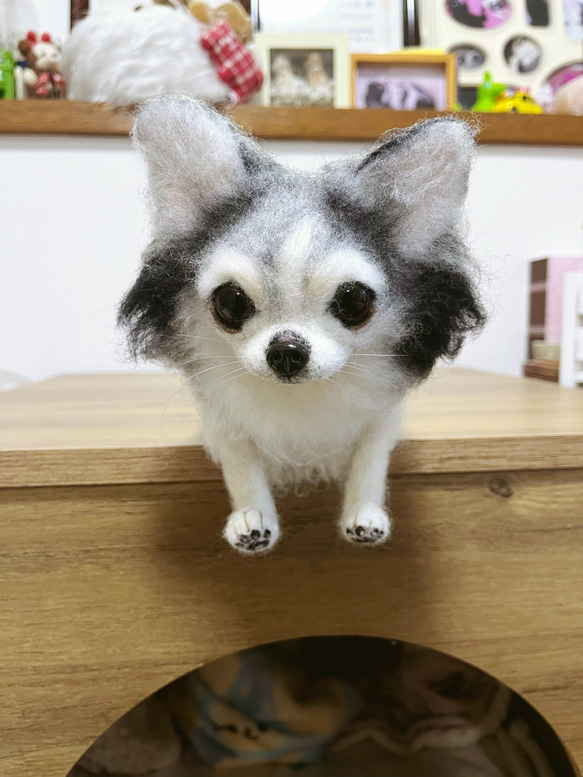 愛犬ちゃんそっくり人形:お星さまになったミシェル 5枚目の画像