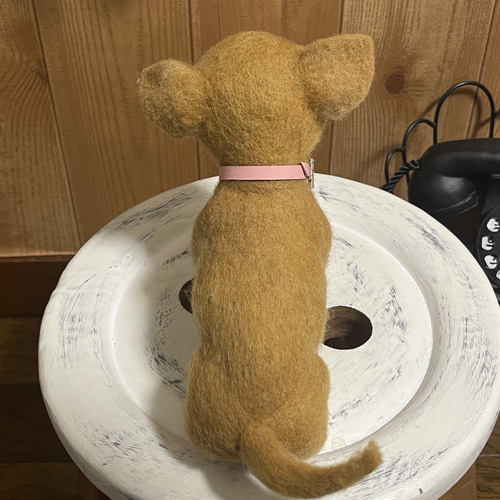 羊毛フェルトのスムースチワワちゃん 羊毛フェルト ♪めれんげど~る