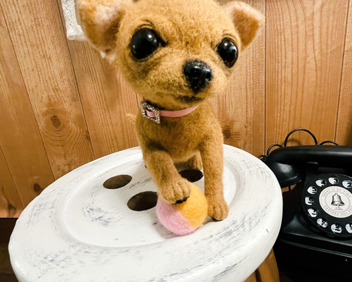 羊毛フェルトのスムースチワワちゃん 羊毛フェルト ♪めれんげど~る