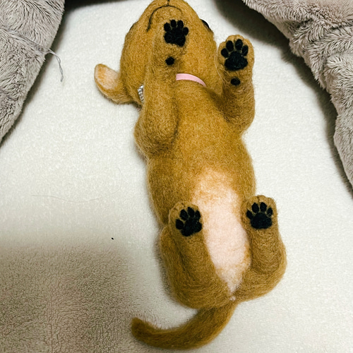 羊毛フェルトのスムースチワワちゃん 羊毛フェルト ♪めれんげど~る