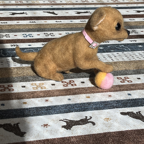 羊毛フェルトのスムースチワワちゃん 羊毛フェルト ♪めれんげど~る