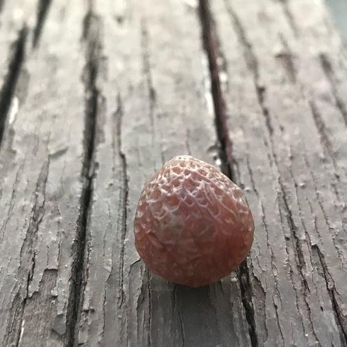 ゴビ石−1199 ゴビ瑪瑙 原石 『糸玉』 その他置物 KIKI 通販 17141646