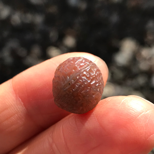 ゴビ石−1199 ゴビ瑪瑙　原石　『糸玉』 ゴビ石−1199 ゴビ瑪瑙原石『糸玉』