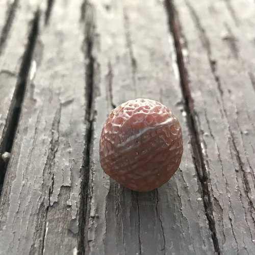 ゴビ石−1199 ゴビ瑪瑙 原石 『糸玉』 その他置物 KIKI 通販 17141646