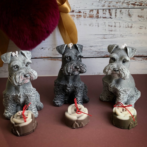 バレンタインデー企画 チョコキャンドル付き シュナウザーキャンドル