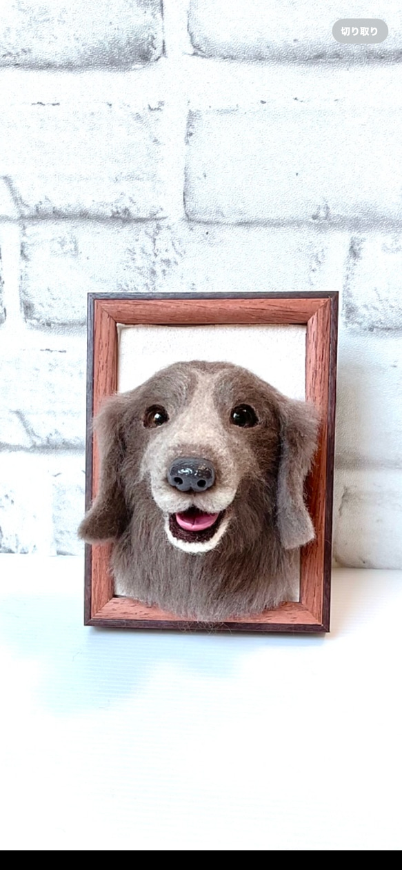 オーダー見本 羊毛フェルトフレームタイプ 犬 ワイマラナー 羊毛