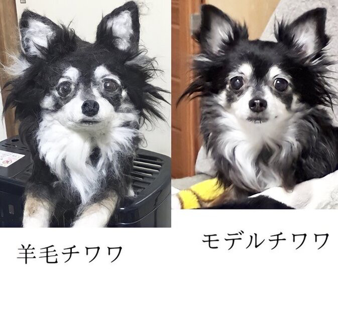 羊毛フェルト ハンドメイド 犬 チワワ フレーム 大きめ