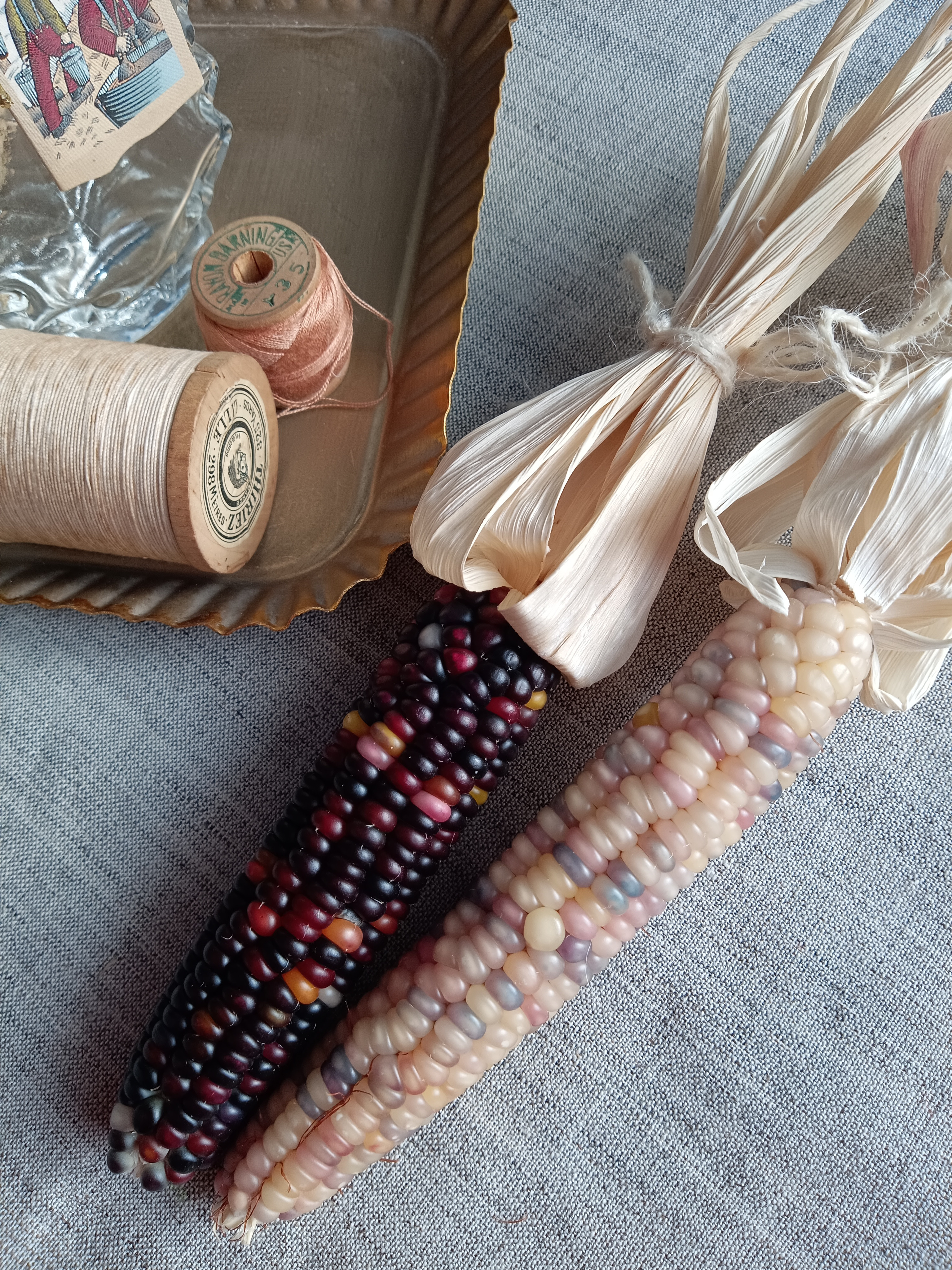 グラスジェムコーンのドライフラワー 2本セット ③ ドライフラワー