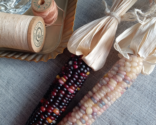 グラスジェムコーンのドライフラワー 2本セット ③ ドライフラワー