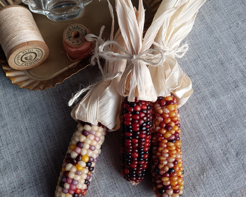 グラスジェムコーン太め 60本詰め合わせ グラスジェムコーン太め 60