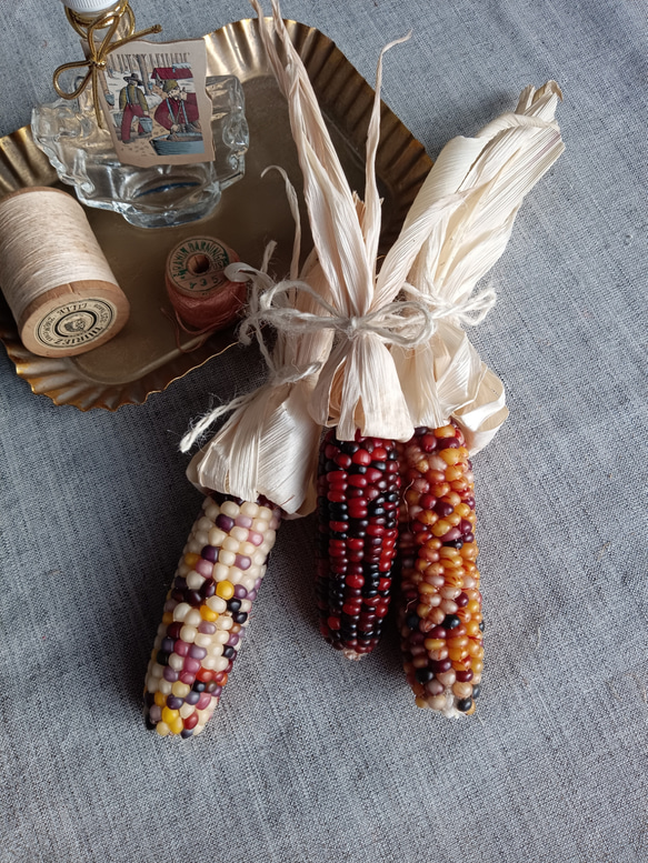 小さめグラスジェムコーン 3本セット ② ドライフラワー farm