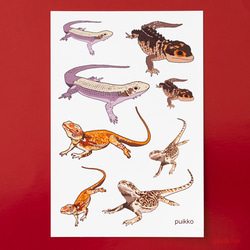 サバンナモニター キーホルダー キーホルダー reptiles kotori 通販