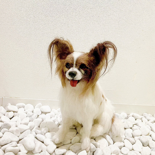 世界でたった一つ♡ずっとそばに♡再現 羊毛フェルト♡パピヨン