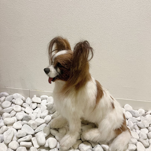 世界でたった一つ♡ずっとそばに♡再現 羊毛フェルト♡パピヨン