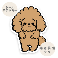 くるるんプードルちゃん。 シール・ステッカー 2216studio 通販
