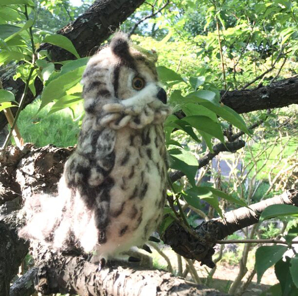 ☆羊毛フェルトのベンガルワシミミズクB 13枚目の画像