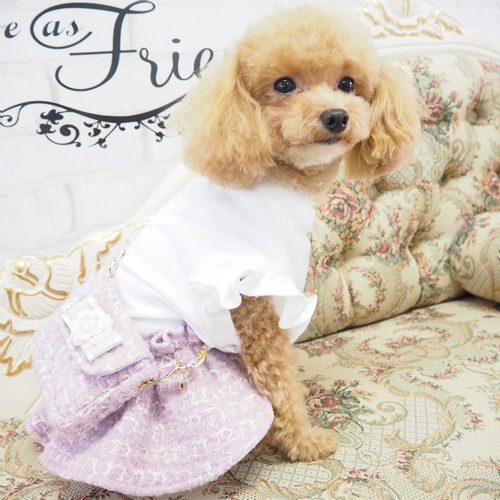 ワンピース ミニ ショルダー バッグ セット 犬 ワンピ トップス