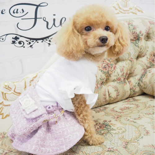 ワンピース ミニ ショルダー バッグ セット 犬 ワンピ トップス
