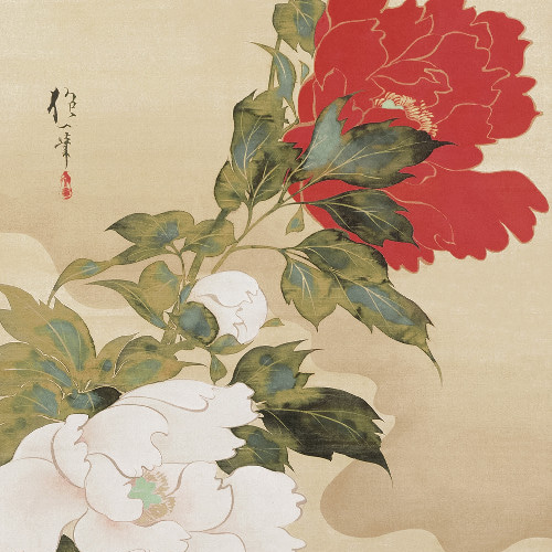 NO.542】牡丹の和モダンな日本画アートポスター大正ロマン和室