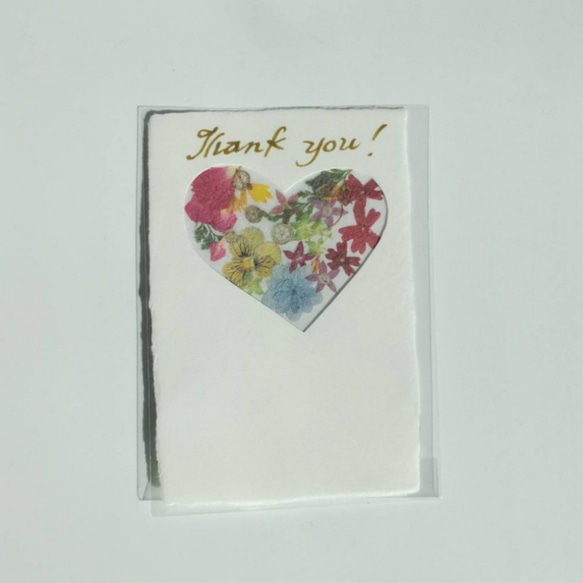 土佐和紙と押し花のメッセージカード　「Thank you」　 2枚目の画像