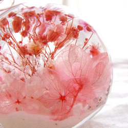 【新作！選べるどうぶつ 再販3】シアワセの瓶ヅメ～桜色の春の空　可愛らしく。優しく。心和む桜色の春。 9枚目の画像