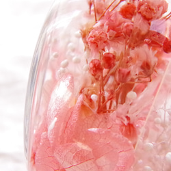 【新作！選べるどうぶつ 再販3】シアワセの瓶ヅメ～桜色の春の空　可愛らしく。優しく。心和む桜色の春。 10枚目の画像
