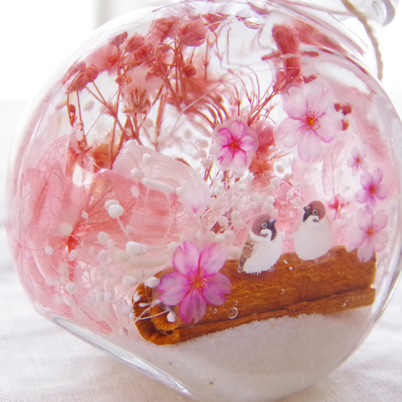 【新作！選べるどうぶつ 再販3】シアワセの瓶ヅメ～桜色の春の空　可愛らしく。優しく。心和む桜色の春。 4枚目の画像