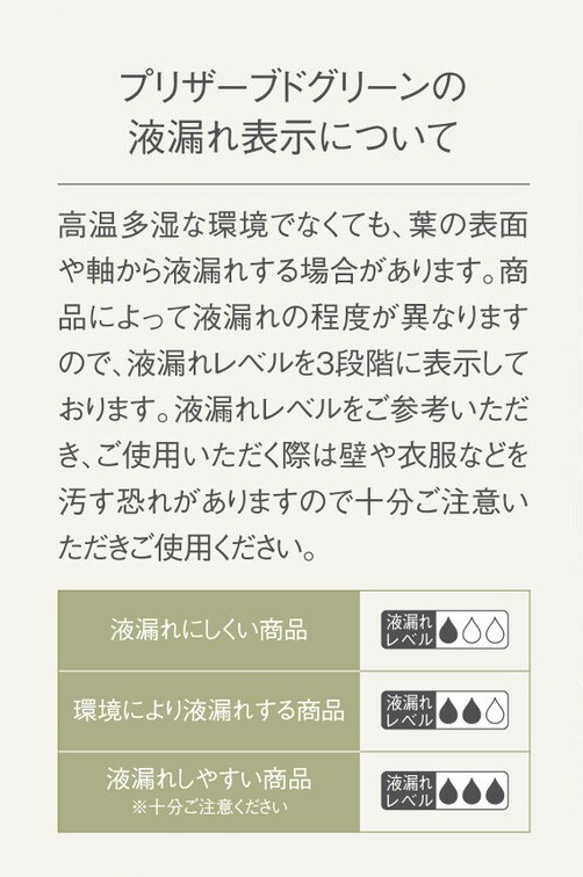 大地農園！ プリザーブドフラワー 「ラスカス・プリザーブド　オフホワイト　１束」プリザ ドライフラワー 花材 装飾 5枚目の画像