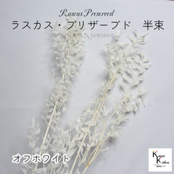 地球農場！永生花「Rucas 永生灰白色半束」Preza 乾燥花花材擺飾 第1張的照片