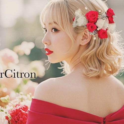 髪飾り 赤薔薇 結婚式 成人式 美女と野獣 ダイヤ 宝石 ヘア