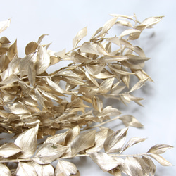 地球農場！永生花「Ruscas 白金半束」Preza 乾燥花花材料裝飾植物標本室時尚 第3張的照片