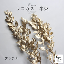 地球農場！永生花「Ruscas 白金半束」Preza 乾燥花花材料裝飾植物標本室時尚 第1張的照片