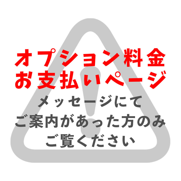 オプション料金お支払いページ(500円分) 1枚目の画像