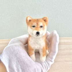 羊毛フェルトのおすわり柴犬　  犬のうちの子ぬいぐるみ　　 3枚目の画像