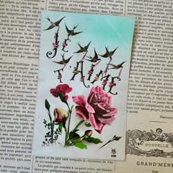 フランス 1900年初頭のツバメたちのカードI 絵葉書 アンティーク