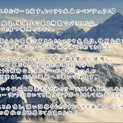  第4張的照片