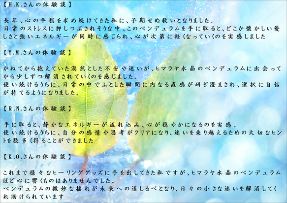  第7張的照片