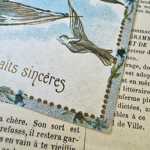 フランス 1900年初頭の白い鳩のカード 絵葉書 アンティーク