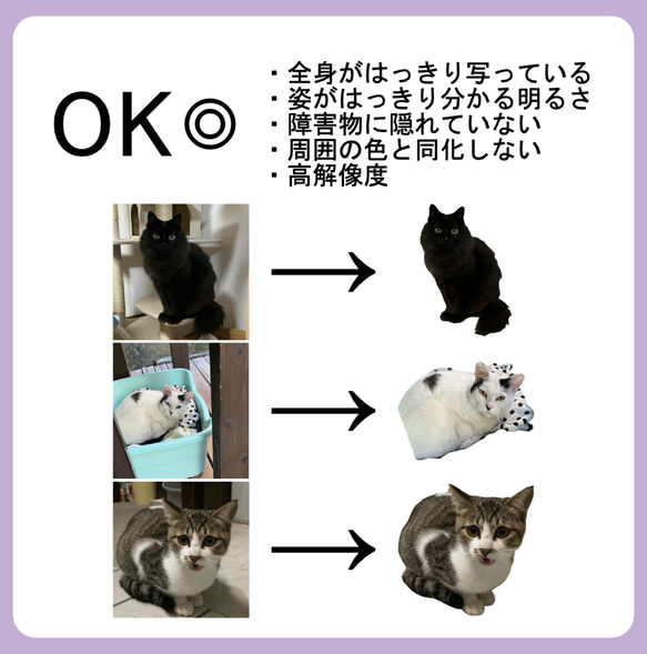 うちの子グッズ【パーカー】 オリジナルパーカー 裏パイル スウェット 写真 プリント 印刷 愛猫 愛犬 うさぎ etc. 5枚目の画像