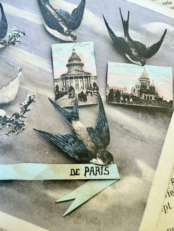フランス 1906年の鳥たちのカード 8枚目の画像