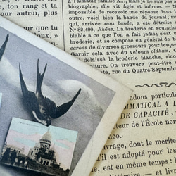 フランス 1906年の鳥たちのカード 4枚目の画像
