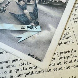 フランス 1906年の鳥たちのカード 3枚目の画像