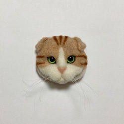 羊毛フェルト 猫ブローチ スコティッシュフォールド 1枚目の画像